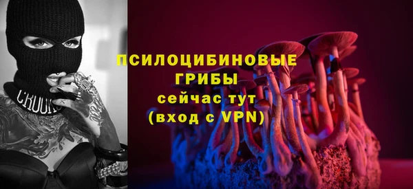 первитин Бородино