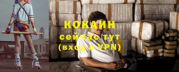 мескалин Богородицк